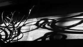 Foto Petr Horčička.